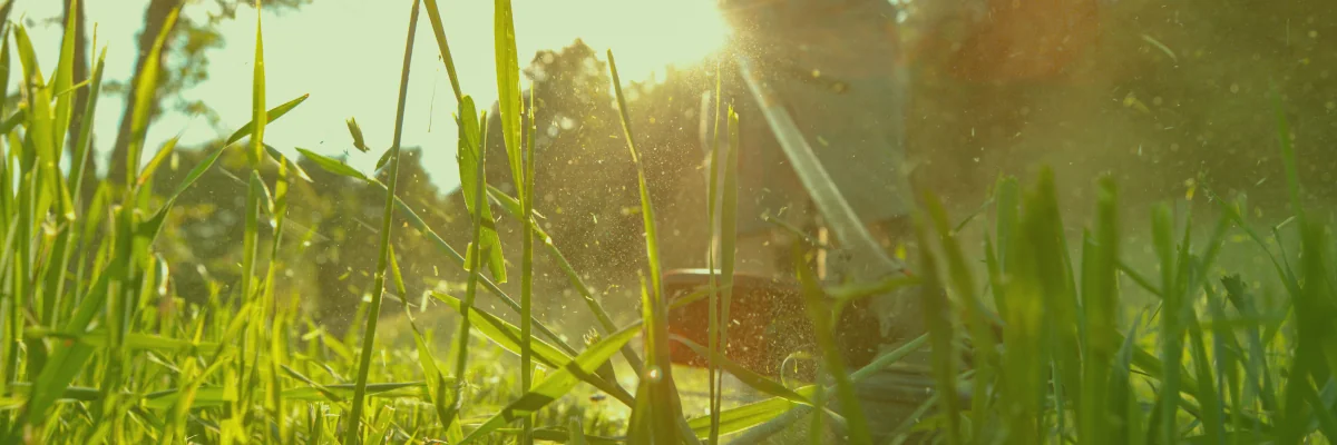 Website für Garten- und Landschaftsbauunternehmen mit Galerie und Kontaktformular