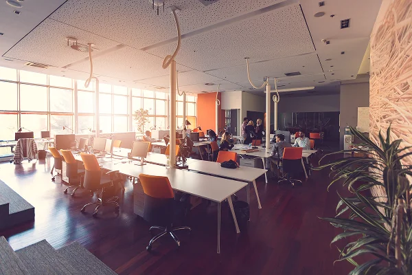 Webdesign und Branding für digitale Lernplattform auf WordPress-Basis